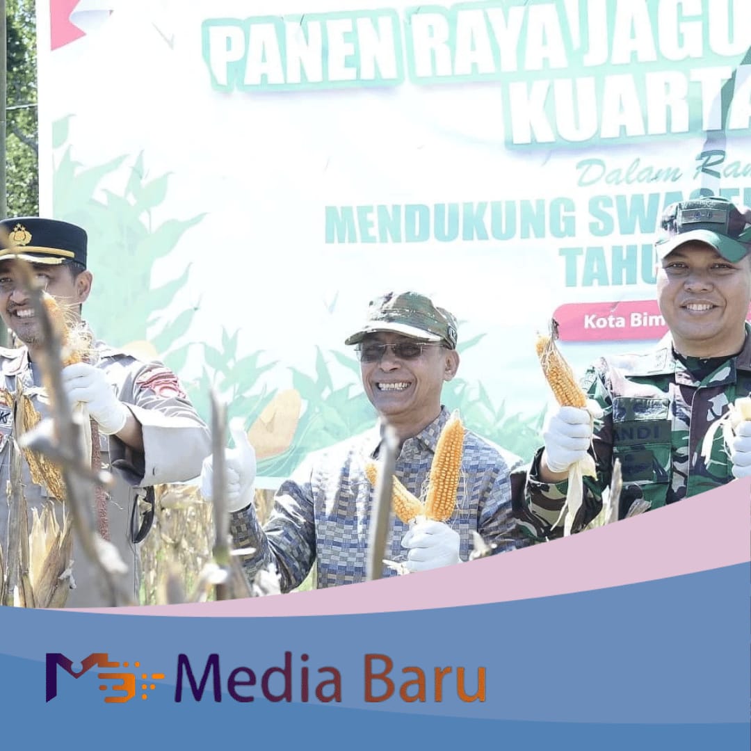 Pemkot Bima Ikuti Panen Raya Jagung Tahap II Serentak Nasional